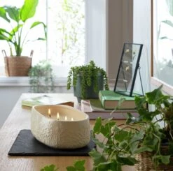 Habitat Large Scallop Multiwick Thin Candle - Flower Market 7 Habitat Large Scallop Multiwick Thin Candle - Flower Market -Bedding Promotion Store 1182673 R Z001C