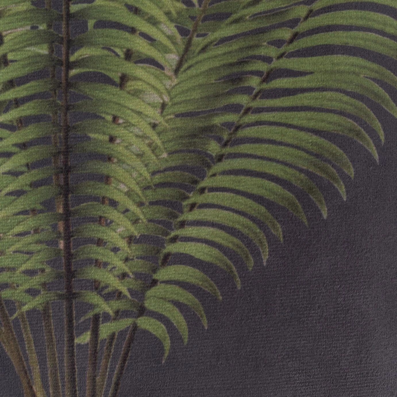 Habitat Graphic Palm Printed Throw - Black - 125X150cm 4 Habitat Graphic Palm Printed Throw - Black - 125X150cm - Image 2