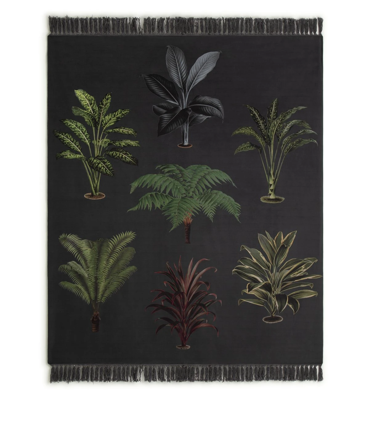 Habitat Graphic Palm Printed Throw - Black - 125X150cm 7 Habitat Graphic Palm Printed Throw - Black - 125X150cm - Image 5