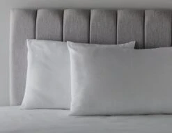 Habitat Anti-Allergy Firm Pillow - 2 Pack -Bedding Promotion Store 2910765 R Z004C