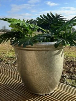 Terrastyle 45cm Plastic Metalic Silver Planter 9 Terrastyle 45cm Plastic Metalic Silver Planter -Bedding Promotion Store 2992336 R Z003A