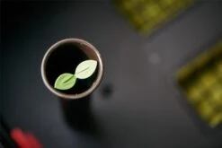 Keter Urban Bloomer Resin Garden Bed 17 Keter Urban Bloomer Resin Garden Bed -Bedding Promotion Store 3038763 R Z007A