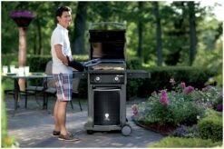 Weber Spirit Classic E-210 2 Burner Gas BBQ -Bedding Promotion Store 3085039 R Z007A