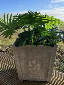 Terrastyle 36cm Plastic Square Brown Boxwood Pot 9 Terrastyle 36cm Plastic Square Brown Boxwood Pot -Bedding Promotion Store 3107412 R Z003A