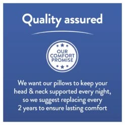 Slumberdown Cool Max Memory Support Firm Pillow 22 Slumberdown Cool Max Memory Support Firm Pillow -Bedding Promotion Store 4539481 R Z010A