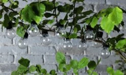 Habitat 20 Warm White Festoon Solar Lights 7 Habitat 20 Warm White Festoon Solar Lights -Bedding Promotion Store 9133916 R Z006A