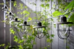 Habitat 10 Warm White Caged Bulb LED Solar String Lights -Bedding Promotion Store 9298057 R Z001C
