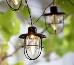 Habitat 10 Warm White Caged Bulb LED Solar String Lights -Bedding Promotion Store 9298057 R Z002C