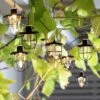 Habitat 10 Warm White Caged Bulb LED Solar String Lights 1 Habitat 10 Warm White Caged Bulb LED Solar String Lights -Bedding Promotion Store 9298057 R Z003C