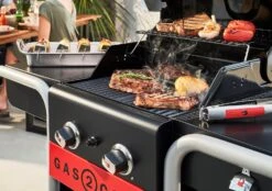 Char-Broil 2 Burner Gas And Charcoal BBQ 21 Char-Broil 2 Burner Gas And Charcoal BBQ -Bedding Promotion Store 9528459 R Z003A