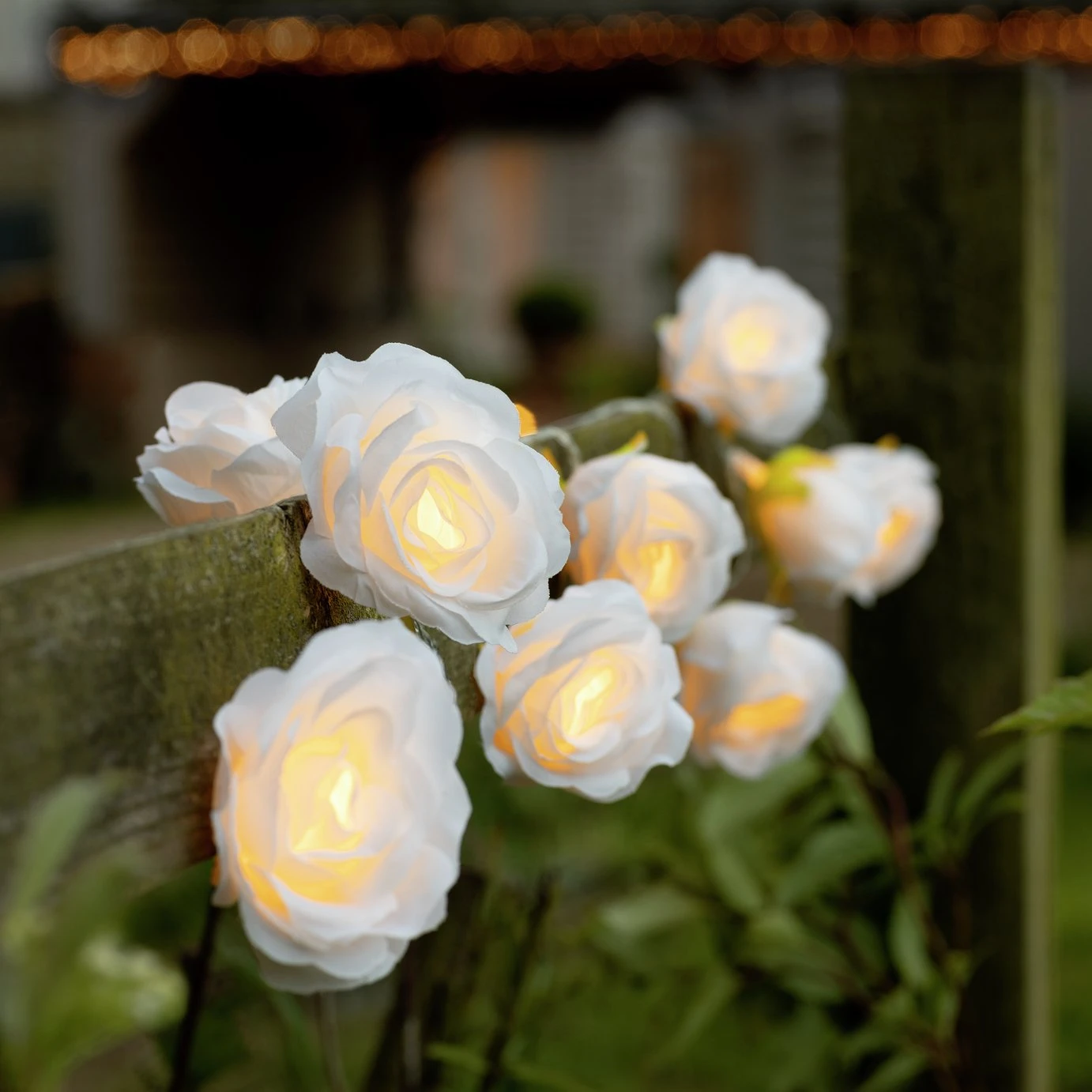 Habitat Warm White Solar Rose LED String Lights 3 Habitat Warm White Solar Rose LED String Lights